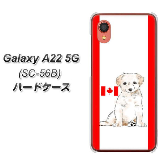 Galaxy A22 5G SC-56B docomo 高画質仕上げ 背面印刷 ハードケース【YD824 ラブラドールレトリバー05】