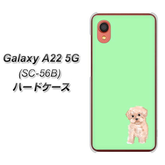 Galaxy A22 5G SC-56B docomo 高画質仕上げ 背面印刷 ハードケース【YJ063 トイプードルアプリコット(グリーン)】