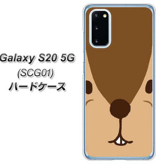 au ギャラクシー S20 5G SCG01 高画質仕上げ 背面印刷 ハードケース【349 りす】