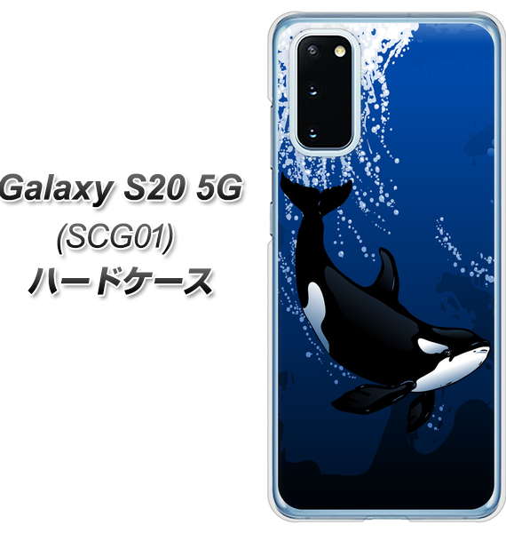 au ギャラクシー S20 5G SCG01 高画質仕上げ 背面印刷 ハードケース【423 シャチ】