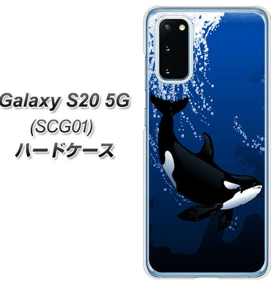 au ギャラクシー S20 5G SCG01 高画質仕上げ 背面印刷 ハードケース【423 シャチ】