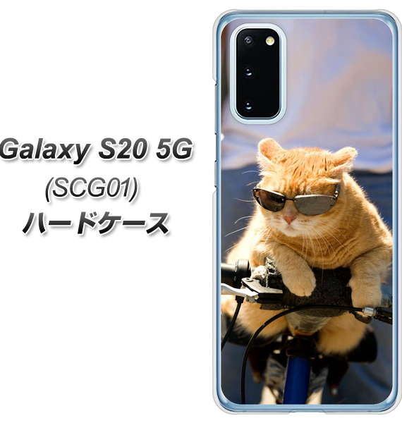 au ギャラクシー S20 5G SCG01 高画質仕上げ 背面印刷 ハードケース【595 にゃんとサイクル】