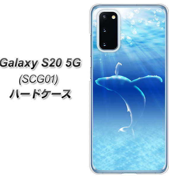 au ギャラクシー S20 5G SCG01 高画質仕上げ 背面印刷 ハードケース【1047 海の守り神くじら】