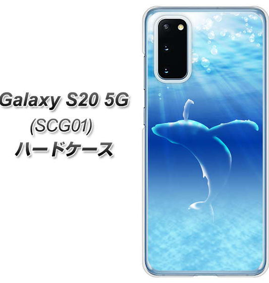au ギャラクシー S20 5G SCG01 高画質仕上げ 背面印刷 ハードケース【1047 海の守り神くじら】