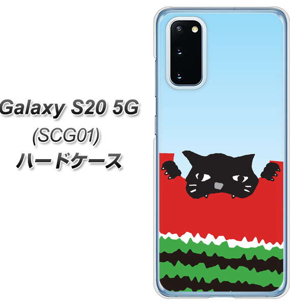 au ギャラクシー S20 5G SCG01 高画質仕上げ 背面印刷 ハードケース【IA815 すいかをかじるネコ(大)】