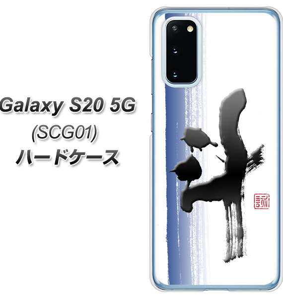 au ギャラクシー S20 5G SCG01 高画質仕上げ 背面印刷 ハードケース【OE829 斗】