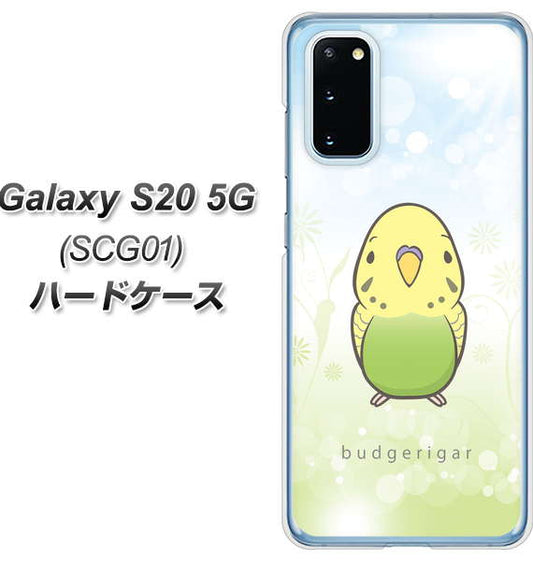 au ギャラクシー S20 5G SCG01 高画質仕上げ 背面印刷 ハードケース【SC838 セキセイインコ グリーン】