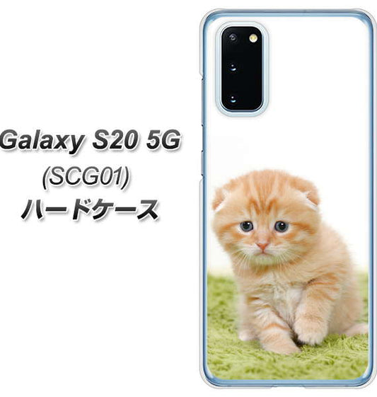 au ギャラクシー S20 5G SCG01 高画質仕上げ 背面印刷 ハードケース【VA802 ネコこっそり】