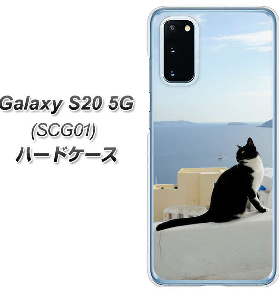 au ギャラクシー S20 5G SCG01 高画質仕上げ 背面印刷 ハードケース【VA805 ネコと地中海】
