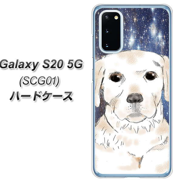 au ギャラクシー S20 5G SCG01 高画質仕上げ 背面印刷 ハードケース【YD820 ラブラドールレトリバー01】