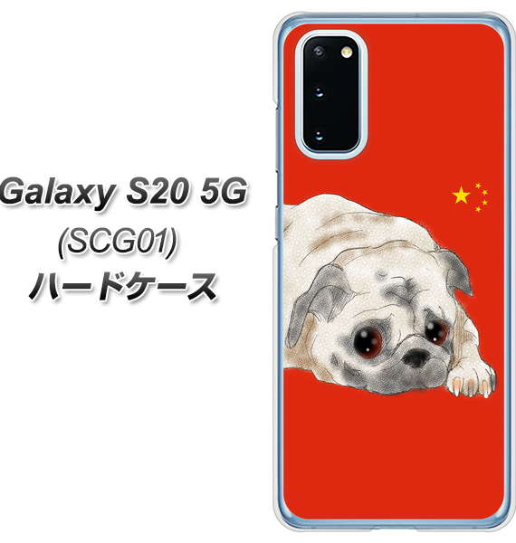 au ギャラクシー S20 5G SCG01 高画質仕上げ 背面印刷 ハードケース【YD857 パグ03】