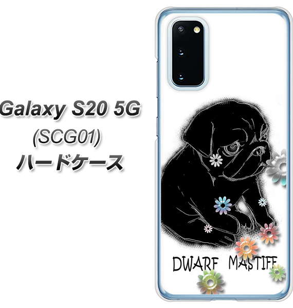au ギャラクシー S20 5G SCG01 高画質仕上げ 背面印刷 ハードケース【YD859 パグ05】