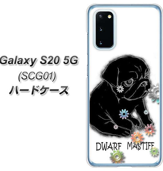 au ギャラクシー S20 5G SCG01 高画質仕上げ 背面印刷 ハードケース【YD859 パグ05】