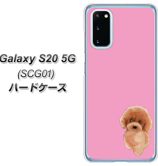 au ギャラクシー S20 5G SCG01 高画質仕上げ 背面印刷 ハードケース【YJ049 トイプードルレッド(ピンク)】