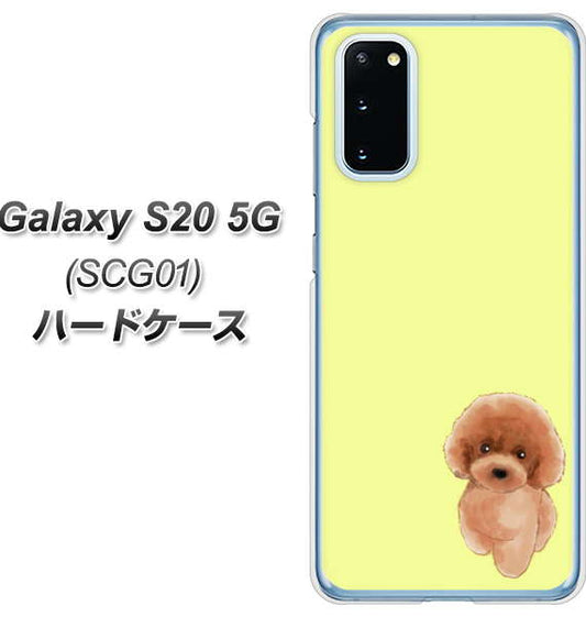 au ギャラクシー S20 5G SCG01 高画質仕上げ 背面印刷 ハードケース【YJ051 トイプードルレッド(イエロー)】