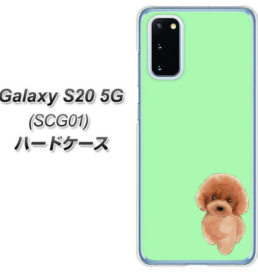 au ギャラクシー S20 5G SCG01 高画質仕上げ 背面印刷 ハードケース【YJ052 トイプードルレッド( グリーン)】