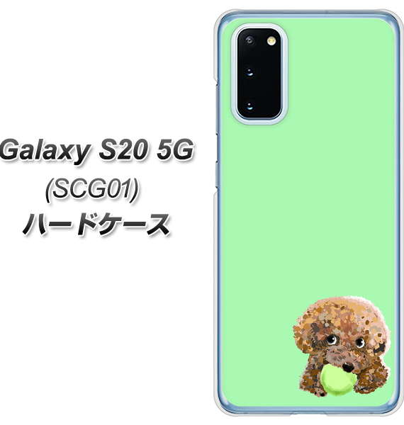 au ギャラクシー S20 5G SCG01 高画質仕上げ 背面印刷 ハードケース【YJ055 トイプードル&ボール(グリーン)】