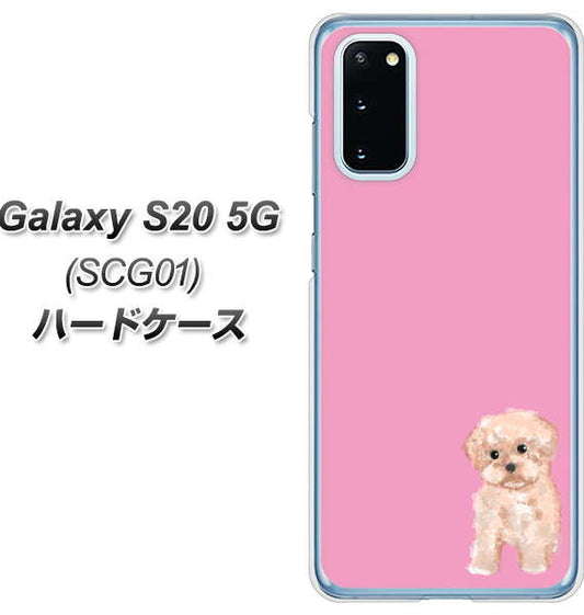 au ギャラクシー S20 5G SCG01 高画質仕上げ 背面印刷 ハードケース【YJ061 トイプードルアプリコット(ピンク)】