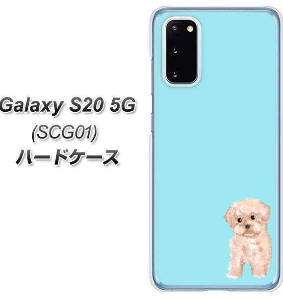 au ギャラクシー S20 5G SCG01 高画質仕上げ 背面印刷 ハードケース【YJ062 トイプードルアプリコット(ブルー)】