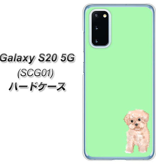 au ギャラクシー S20 5G SCG01 高画質仕上げ 背面印刷 ハードケース【YJ063 トイプードルアプリコット(グリーン)】