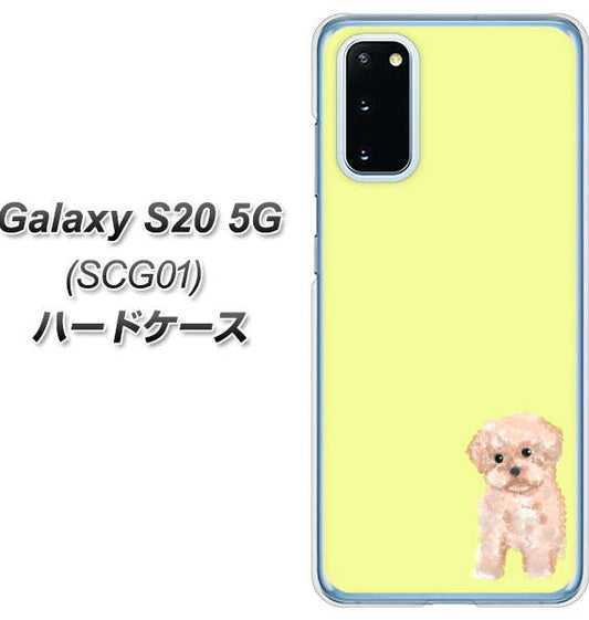au ギャラクシー S20 5G SCG01 高画質仕上げ 背面印刷 ハードケース【YJ064 トイプードルアプリコット(イエロー)】