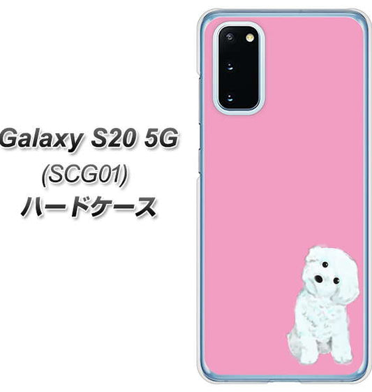 au ギャラクシー S20 5G SCG01 高画質仕上げ 背面印刷 ハードケース【YJ069 トイプードルホワイト(ピンク)】