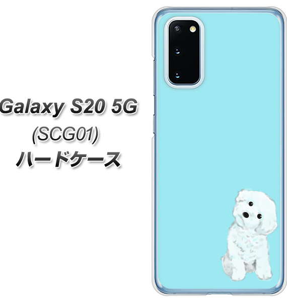 au ギャラクシー S20 5G SCG01 高画質仕上げ 背面印刷 ハードケース【YJ070 トイプードルホワイト(ブルー)】