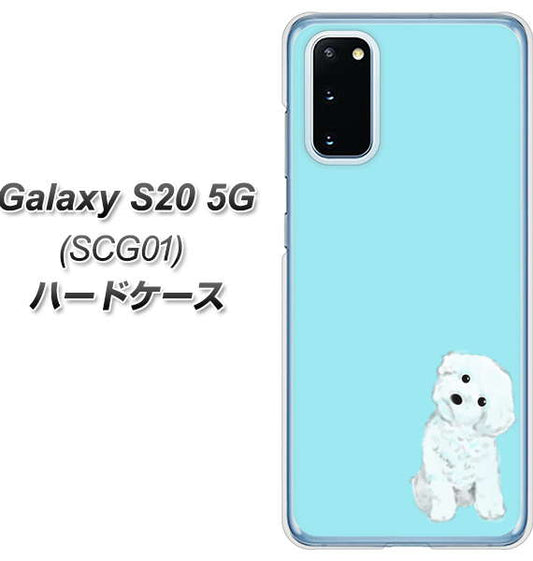 au ギャラクシー S20 5G SCG01 高画質仕上げ 背面印刷 ハードケース【YJ070 トイプードルホワイト(ブルー)】