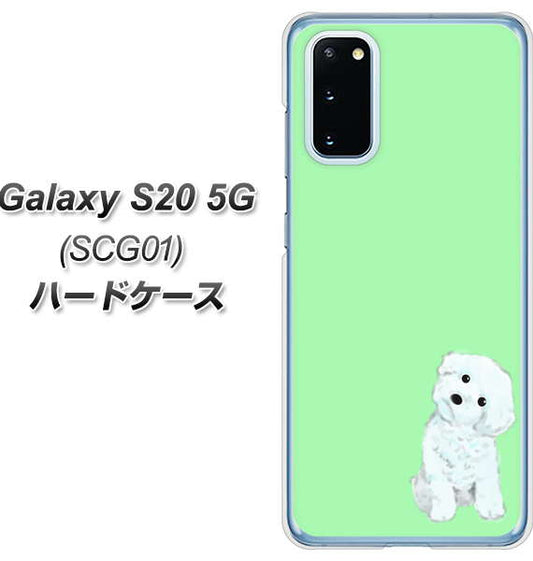 au ギャラクシー S20 5G SCG01 高画質仕上げ 背面印刷 ハードケース【YJ071 トイプードルホワイト(グリーン)】