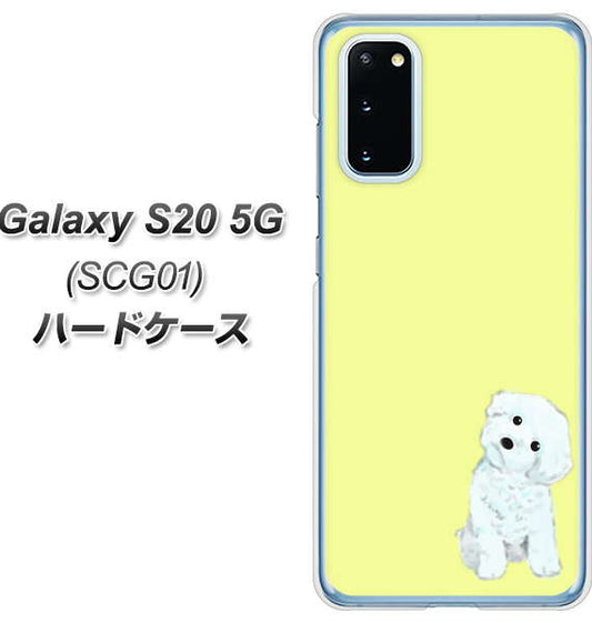 au ギャラクシー S20 5G SCG01 高画質仕上げ 背面印刷 ハードケース【YJ072 トイプードルホワイト(イエロー)】