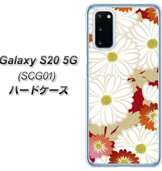 au ギャラクシー S20 5G SCG01 高画質仕上げ 背面印刷 ハードケース【YJ322 和柄 菊】