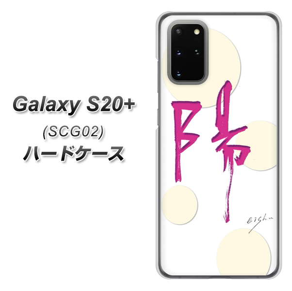 au ギャラクシーS20+ SCG02 高画質仕上げ 背面印刷 ハードケース【OE833 陽】