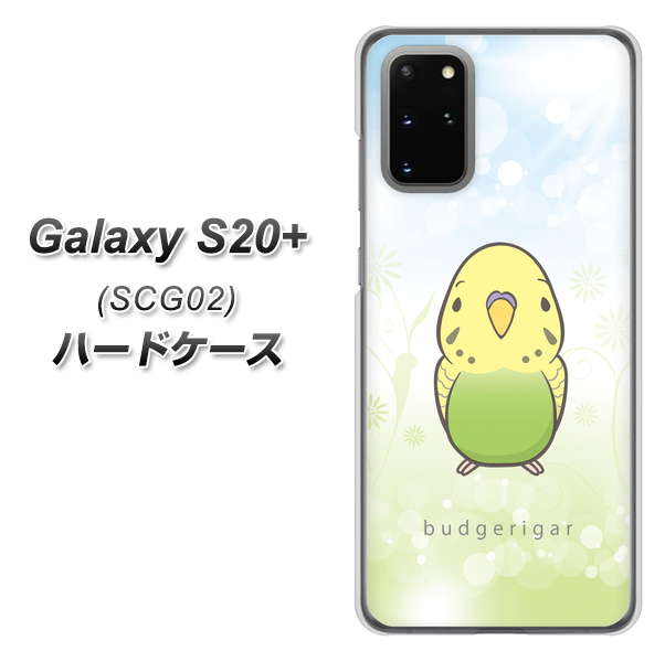 au ギャラクシーS20+ SCG02 高画質仕上げ 背面印刷 ハードケース【SC838 セキセイインコ グリーン】