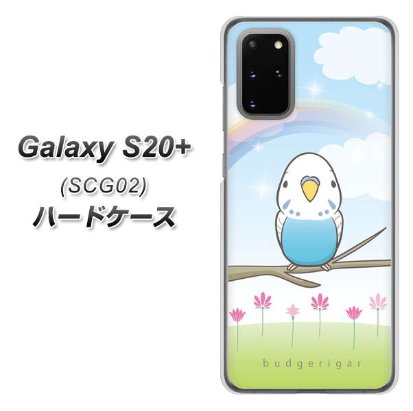 au ギャラクシーS20+ SCG02 高画質仕上げ 背面印刷 ハードケース【SC839 セキセイインコ ブルー】