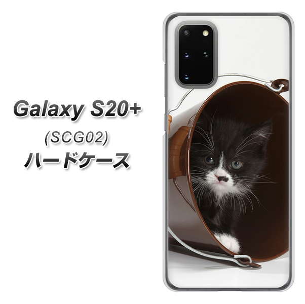 au ギャラクシーS20+ SCG02 高画質仕上げ 背面印刷 ハードケース【VA800 ネコとバケツ】