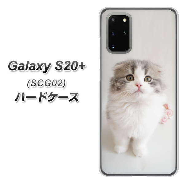 au ギャラクシーS20+ SCG02 高画質仕上げ 背面印刷 ハードケース【VA803 まっていますネコ】