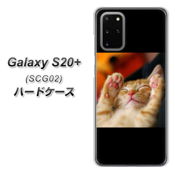 au ギャラクシーS20+ SCG02 高画質仕上げ 背面印刷 ハードケース【VA804 爆睡するネコ】