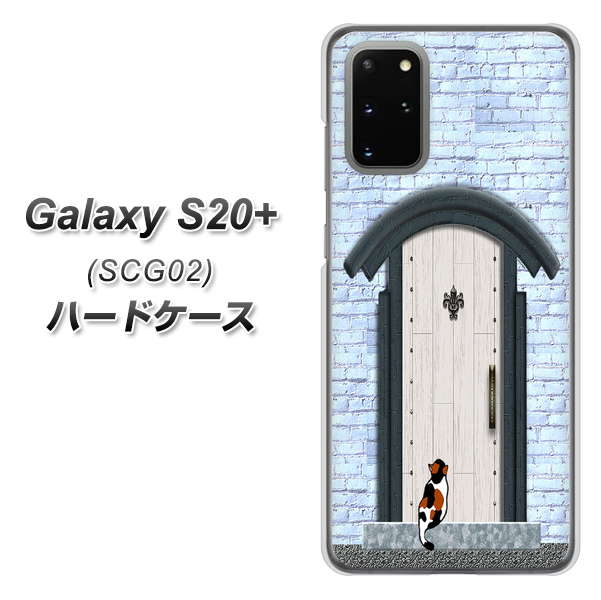 au ギャラクシーS20+ SCG02 高画質仕上げ 背面印刷 ハードケース【YA951 石ドア01】