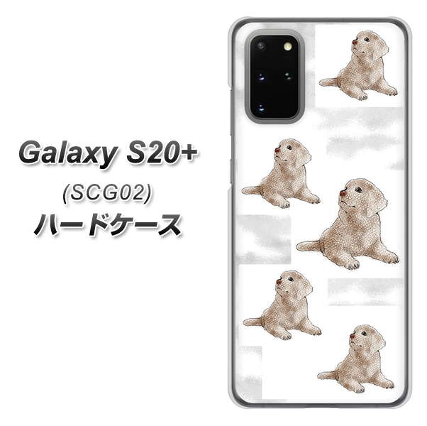 au ギャラクシーS20+ SCG02 高画質仕上げ 背面印刷 ハードケース【YD823 ラブラドールレトリバー04】