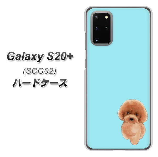 au ギャラクシーS20+ SCG02 高画質仕上げ 背面印刷 ハードケース【YJ050 トイプードルレッド(ブルー)】