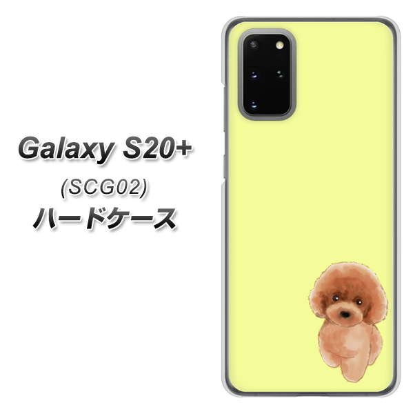 au ギャラクシーS20+ SCG02 高画質仕上げ 背面印刷 ハードケース【YJ051 トイプードルレッド(イエロー)】