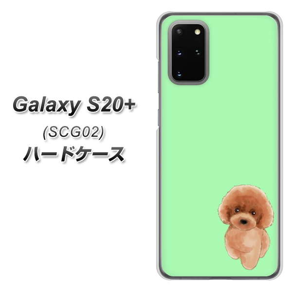 au ギャラクシーS20+ SCG02 高画質仕上げ 背面印刷 ハードケース【YJ052 トイプードルレッド( グリーン)】