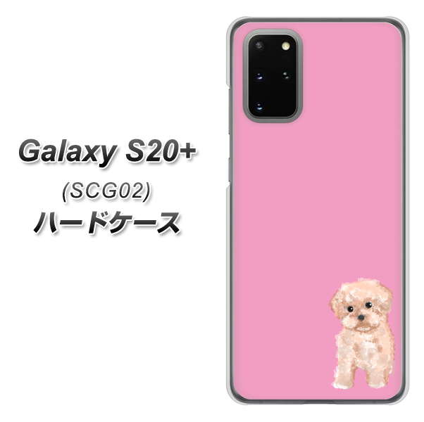 au ギャラクシーS20+ SCG02 高画質仕上げ 背面印刷 ハードケース【YJ061 トイプードルアプリコット(ピンク)】
