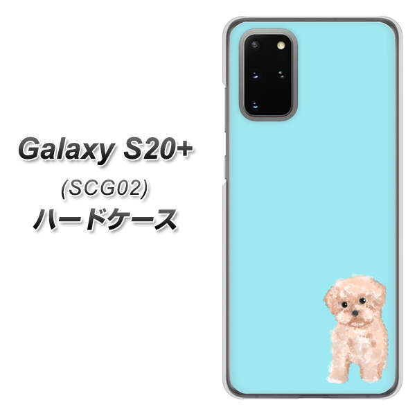 au ギャラクシーS20+ SCG02 高画質仕上げ 背面印刷 ハードケース【YJ062 トイプードルアプリコット(ブルー)】