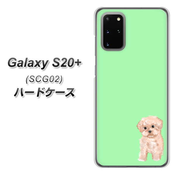 au ギャラクシーS20+ SCG02 高画質仕上げ 背面印刷 ハードケース【YJ063 トイプードルアプリコット(グリーン)】
