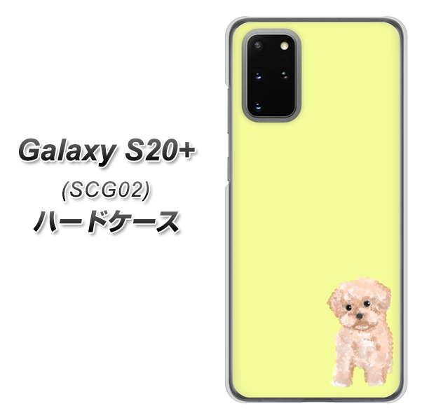au ギャラクシーS20+ SCG02 高画質仕上げ 背面印刷 ハードケース【YJ064 トイプードルアプリコット(イエロー)】