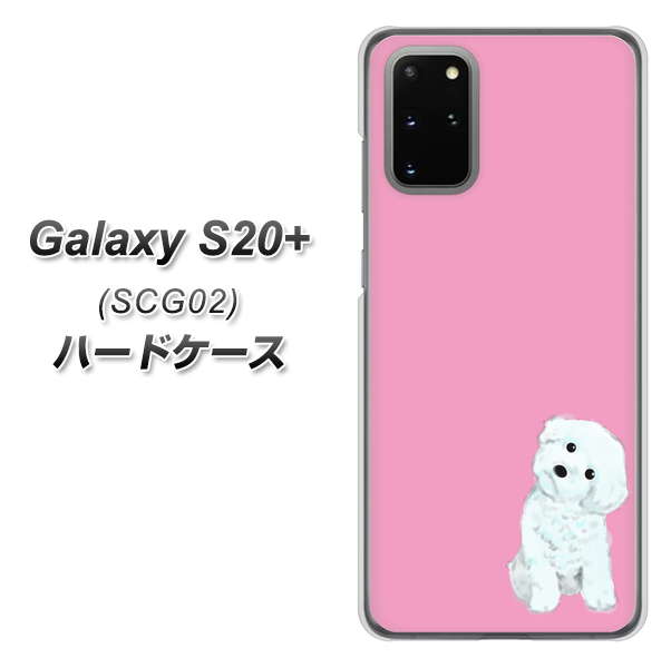 au ギャラクシーS20+ SCG02 高画質仕上げ 背面印刷 ハードケース【YJ069 トイプードルホワイト(ピンク)】