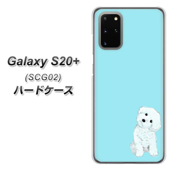 au ギャラクシーS20+ SCG02 高画質仕上げ 背面印刷 ハードケース【YJ070 トイプードルホワイト(ブルー)】