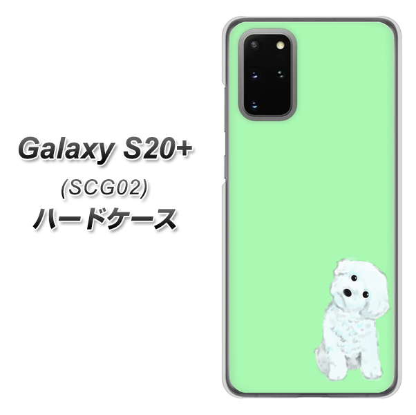 au ギャラクシーS20+ SCG02 高画質仕上げ 背面印刷 ハードケース【YJ071 トイプードルホワイト(グリーン)】