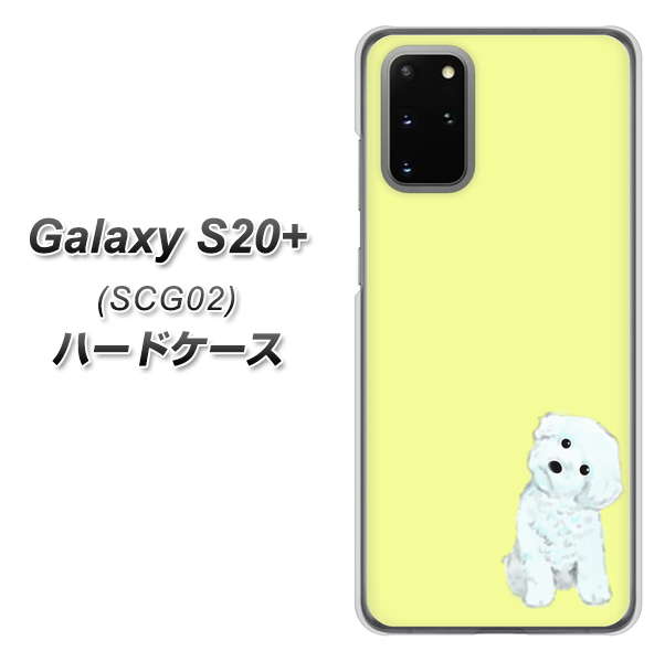 au ギャラクシーS20+ SCG02 高画質仕上げ 背面印刷 ハードケース【YJ072 トイプードルホワイト(イエロー)】